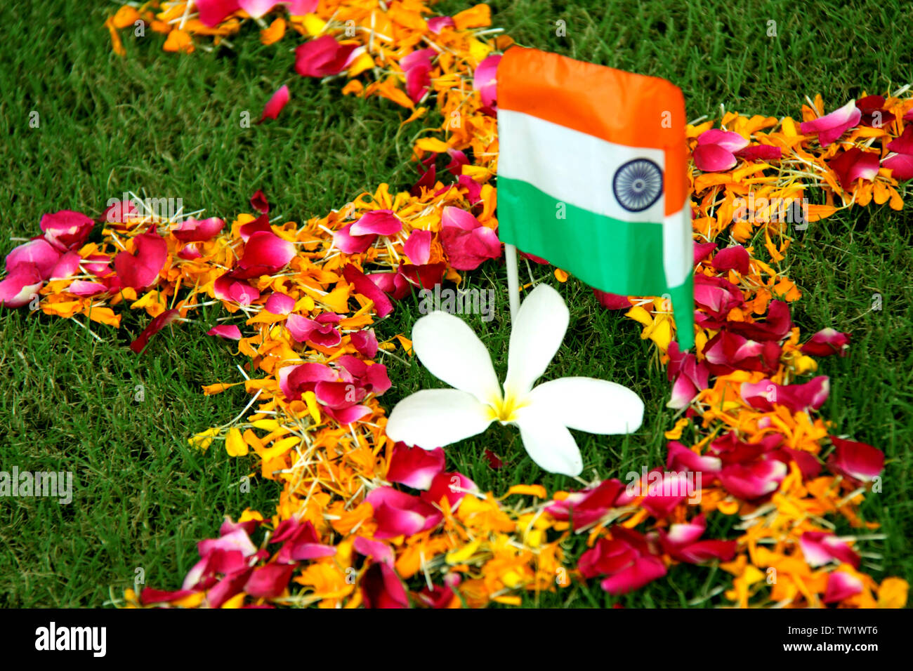Close up of an Indian flag Stock Photo