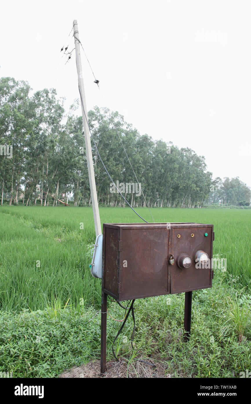 Electric pole in a rice field Stock Photo - Alamy