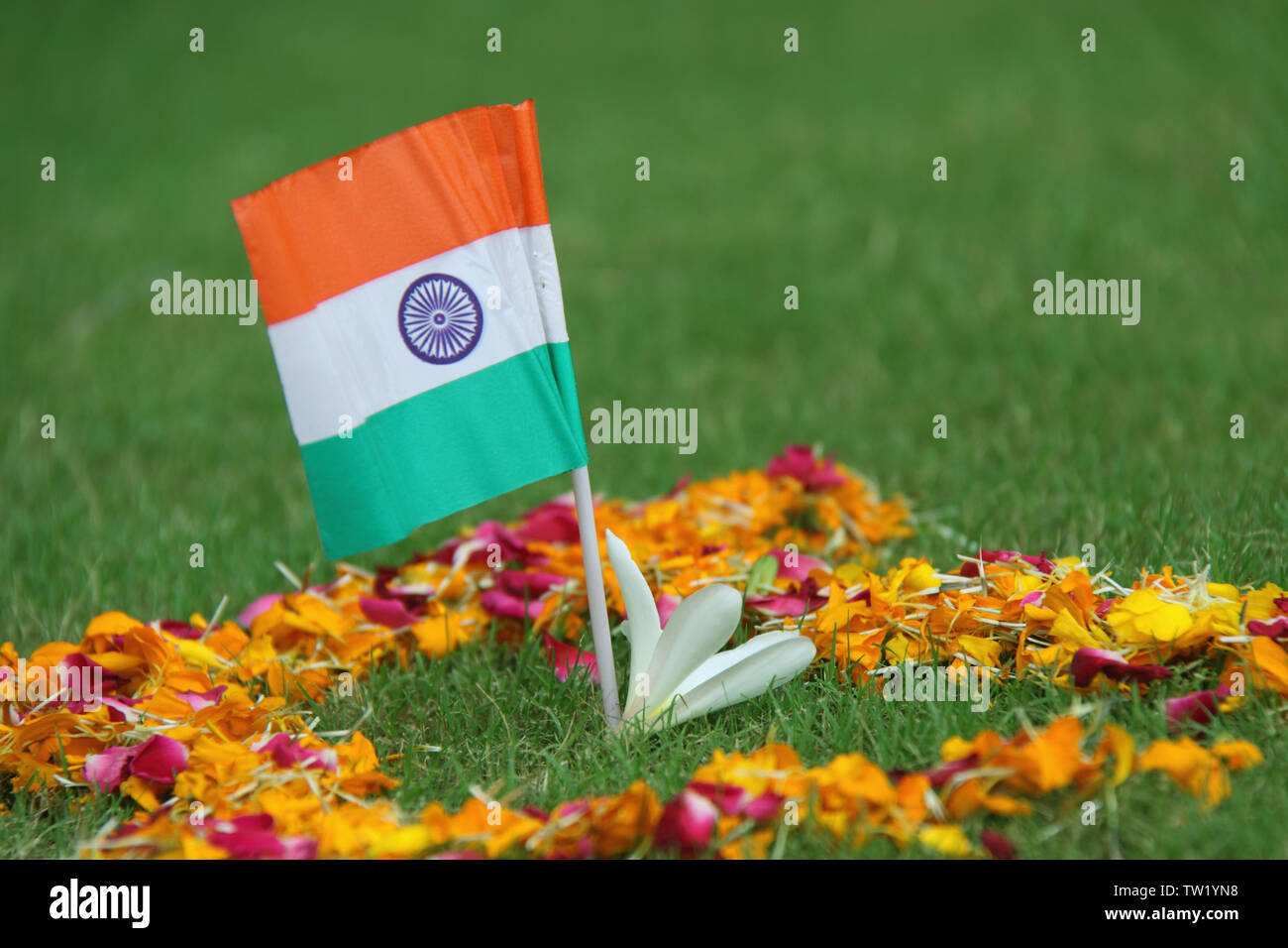 Close up of an Indian Flag Stock Photo