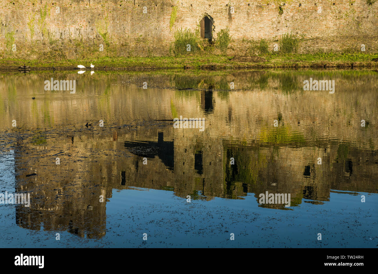 Caerphilly Castle reflected in the castle moat, Caerphilly in South Wales. Caerphilly is the second largest castle in the UK, after Windsor. Stock Photo