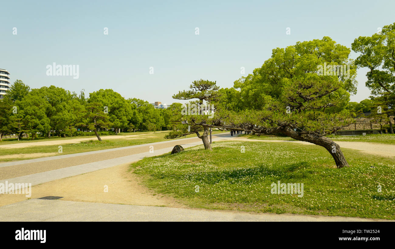 The landscape view of the Osaka city. The way to the Osaka Castle. The castle is one of Japan's most famous landmarks. Stock Photo