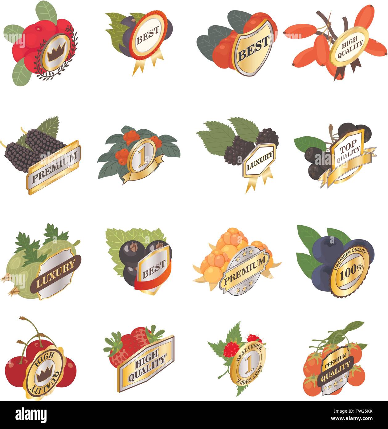Best berry icons set, isometric style Stock Vector