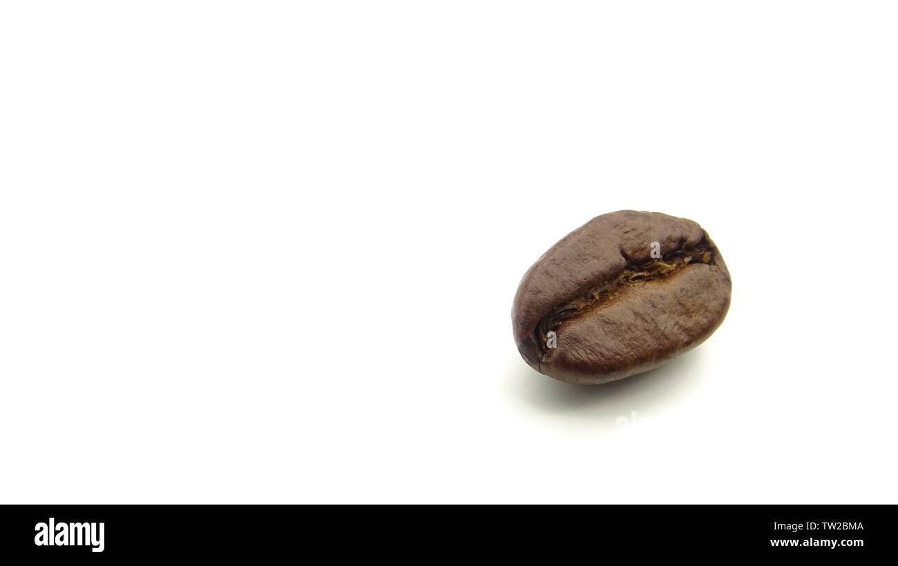 Close up of a roasted coffee bean on white background Stock Photo - Alamy