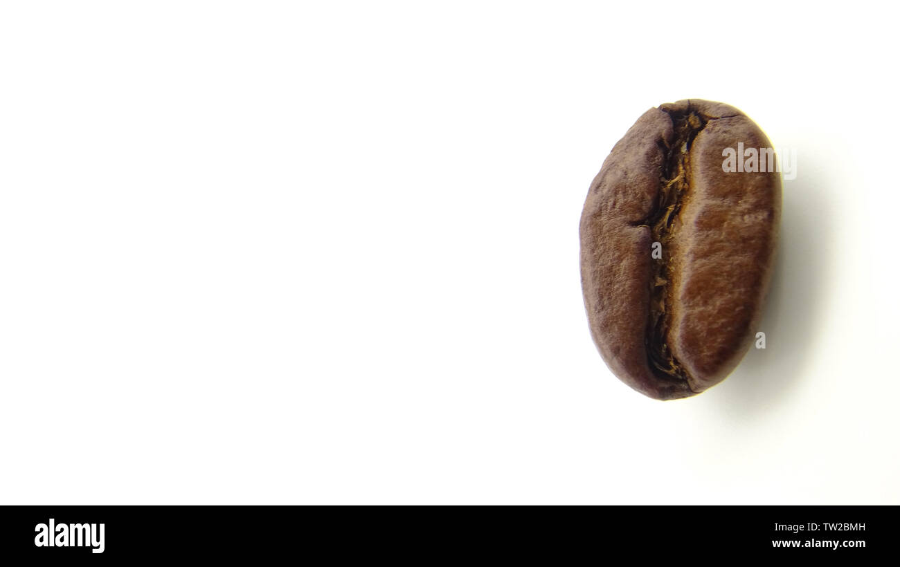 Close up of a roasted coffee bean on white background Stock Photo - Alamy