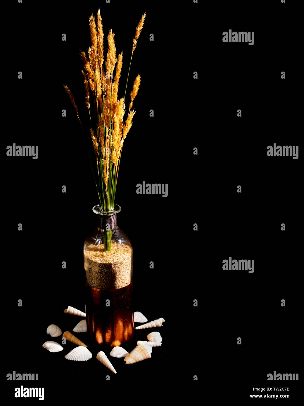Wild grass with seed heads is shown in a red bottle with copper accent, filled with sand. Sea shells surround the base of the bottle. Stock Photo
