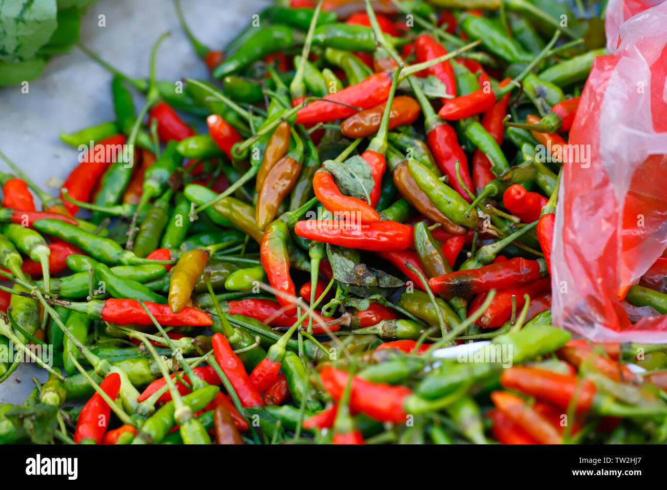 Chili pepper in a village in southern Yunnan, China. Yunnan, China