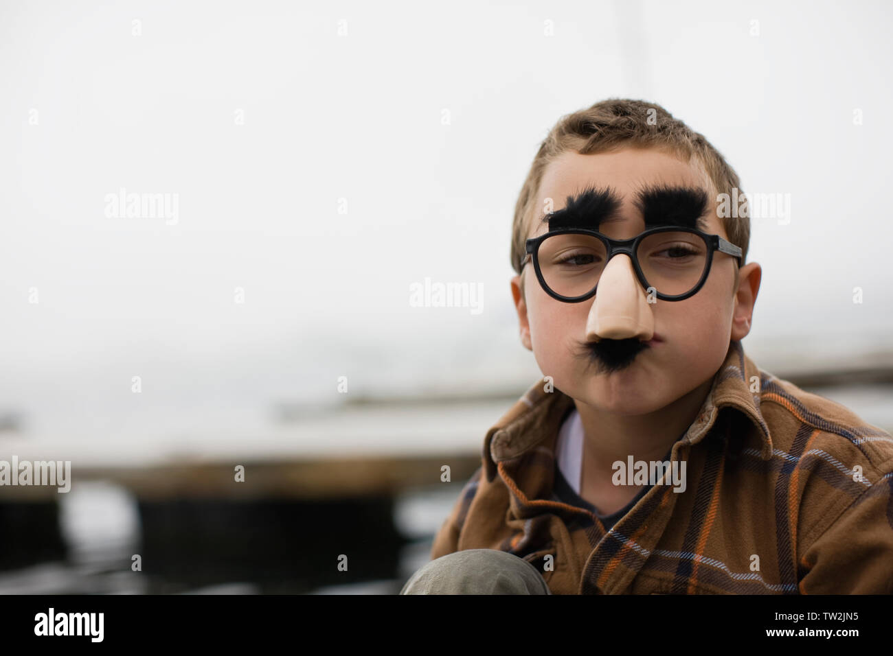 Funny glasses with nose and best sale mustache
