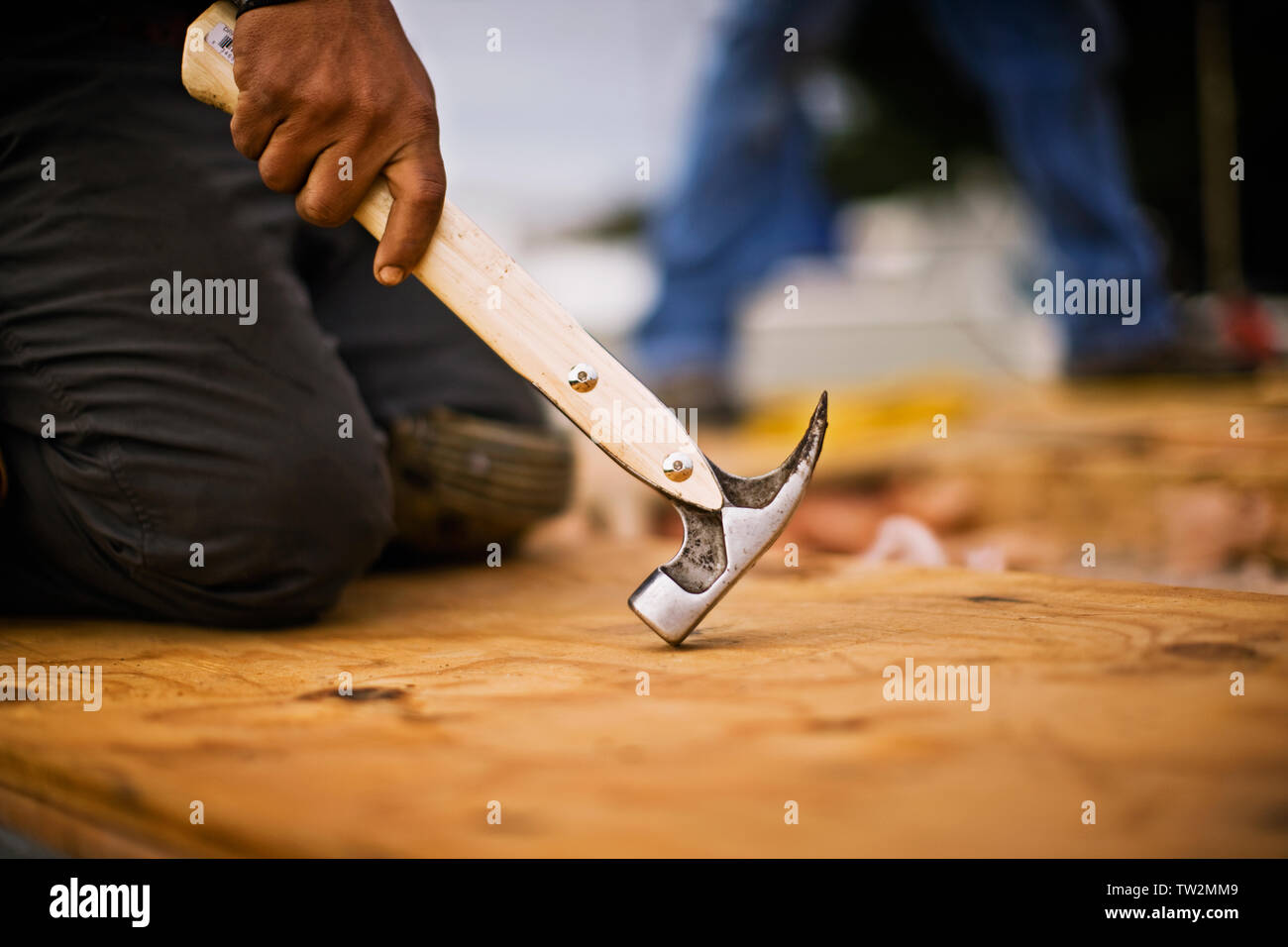 Construction worker holding hammer Stock Photo - Alamy