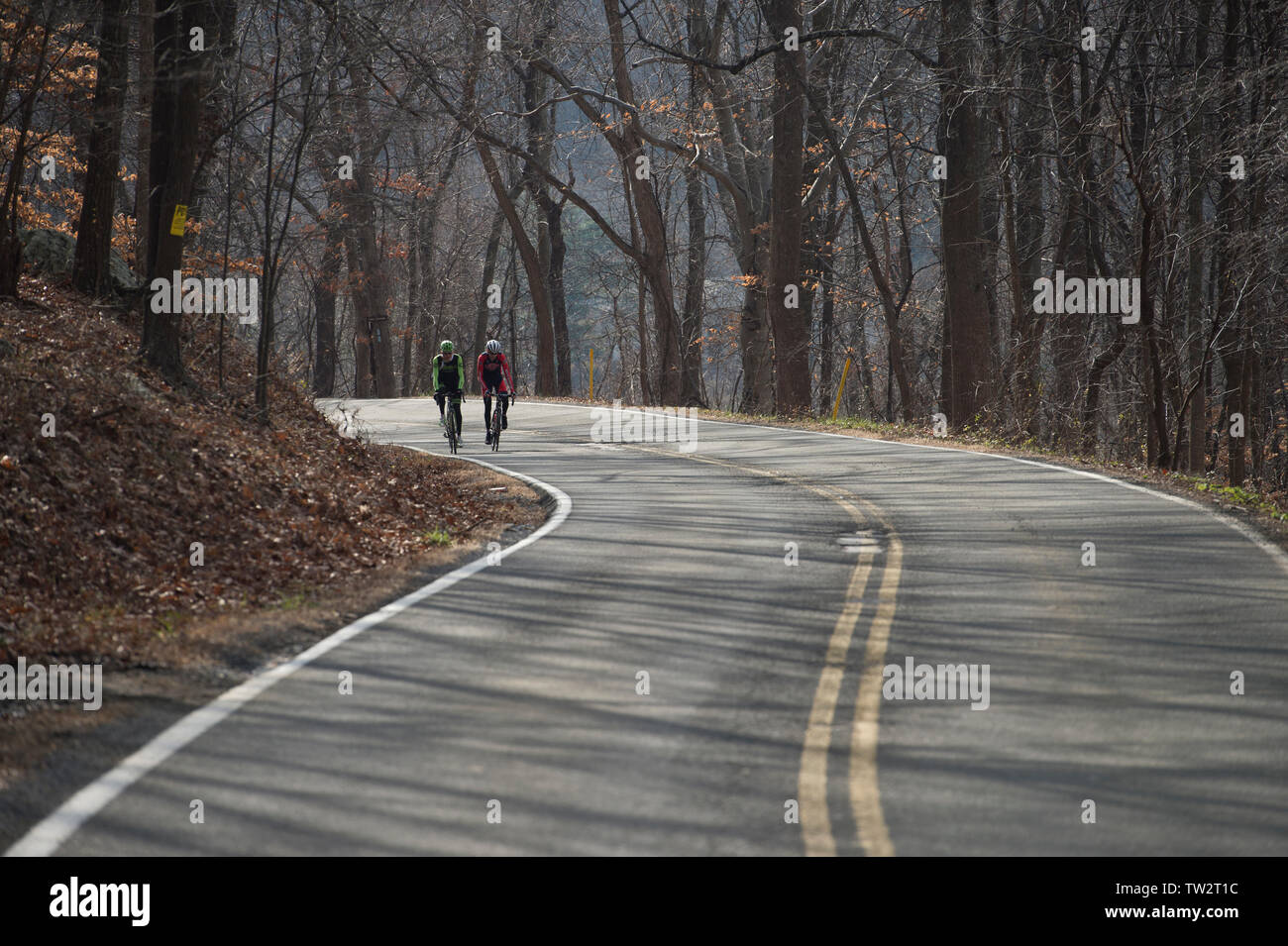 UNITED STATES - December 8, 2015: Pro cyclist Justin Mauch and Joe Dombrowski ride across Mt. Weather in the Blue Ridge Mountains of Virginia near Par Stock Photo