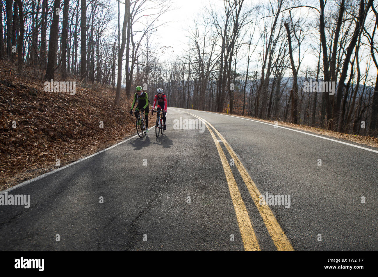 UNITED STATES - December 8, 2015: Pro cyclist Justin Mauch and Joe Dombrowski ride across Mt. Weather in the Blue Ridge Mountains of Virginia near Par Stock Photo