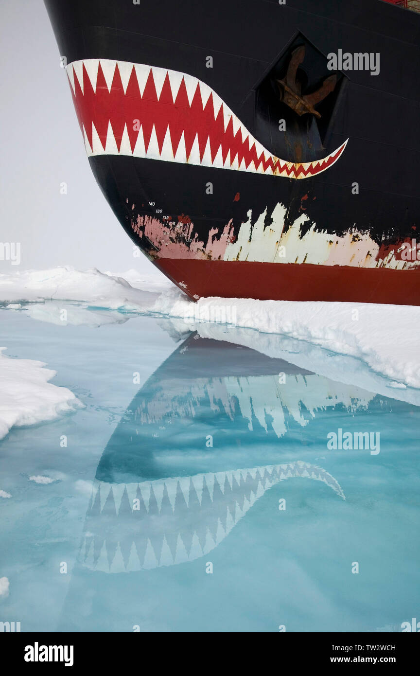 Russian nuclear icebreaker Yamal at North Pole, with reflections of distinctive shark teeth on bow. Stock Photo