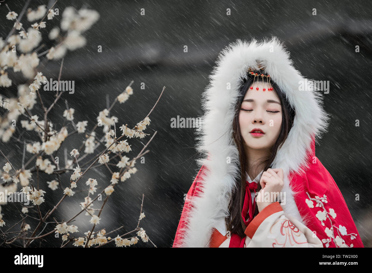 Ancient costume Chinese style winter plum blossom portrait girl ...