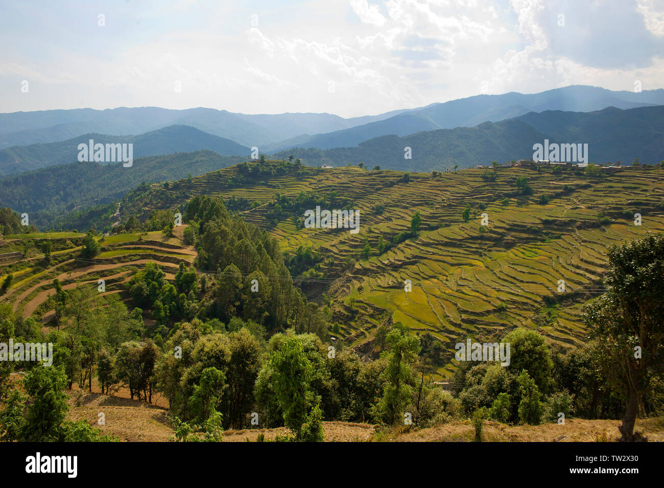 Remote villages surrounded with green terraced fields on Kumaon Hills, Uttarakhand, Northern India Stock Photo