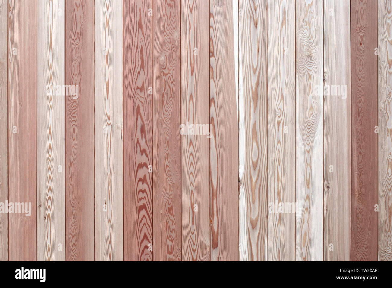 wooden boards with beautiful texture and  annual rings patterns, vertically arranged slats of various light to dark natural shades of wood Stock Photo