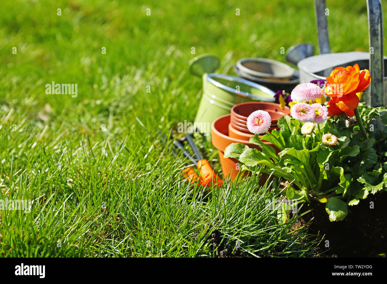 Freshly planted flowers in garden on sunny day Stock Photo