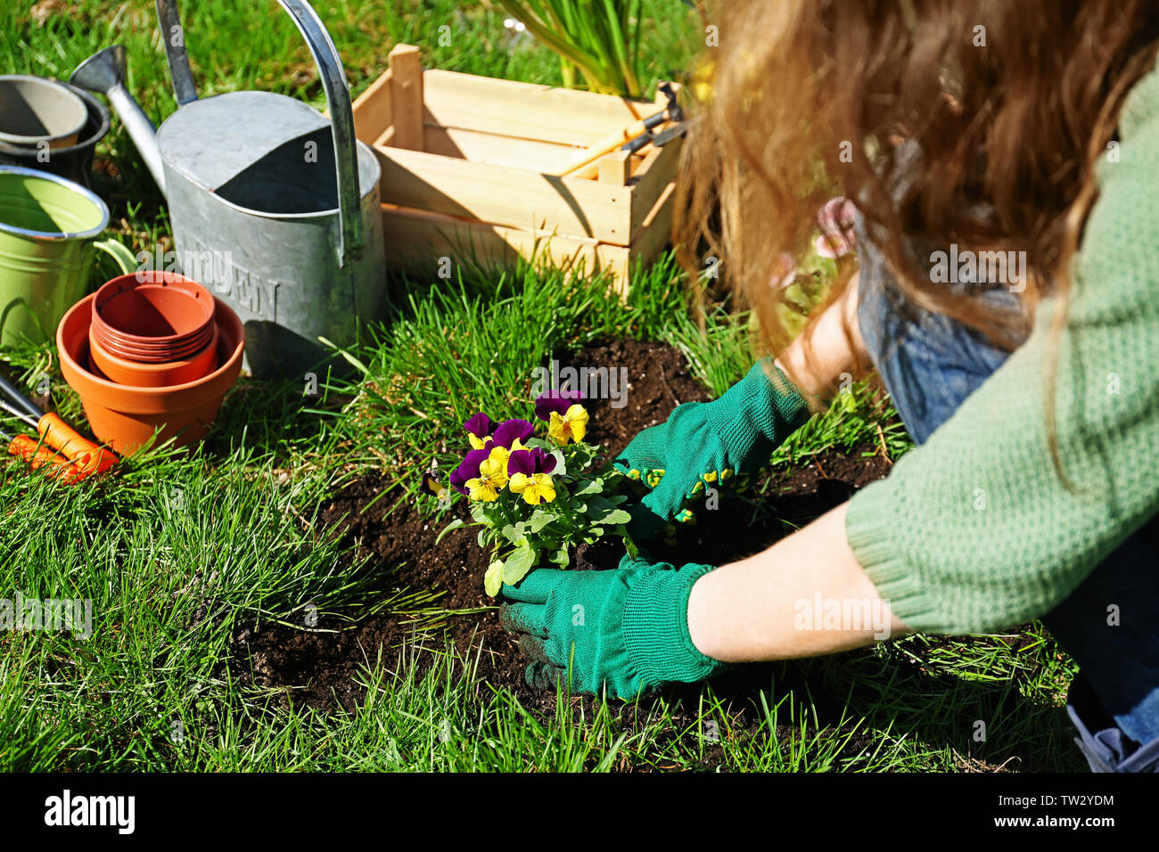 Woman planting flowers in garden Stock Photo - Alamy