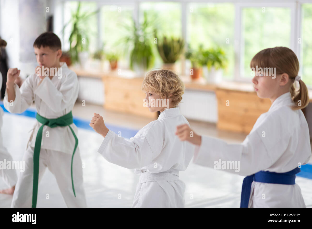 Practicing aikido. Boys and girl wearing white kimono and colorful