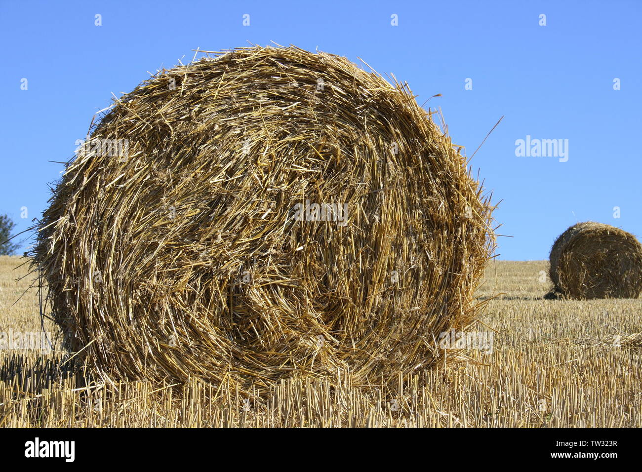 Large round straw roll with blue sky in background Stock Photo