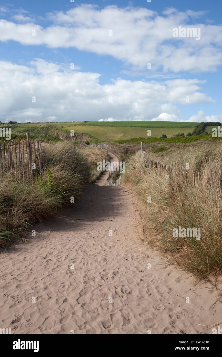 Path through sand dunes, Devon, England Stock Photo - Alamy