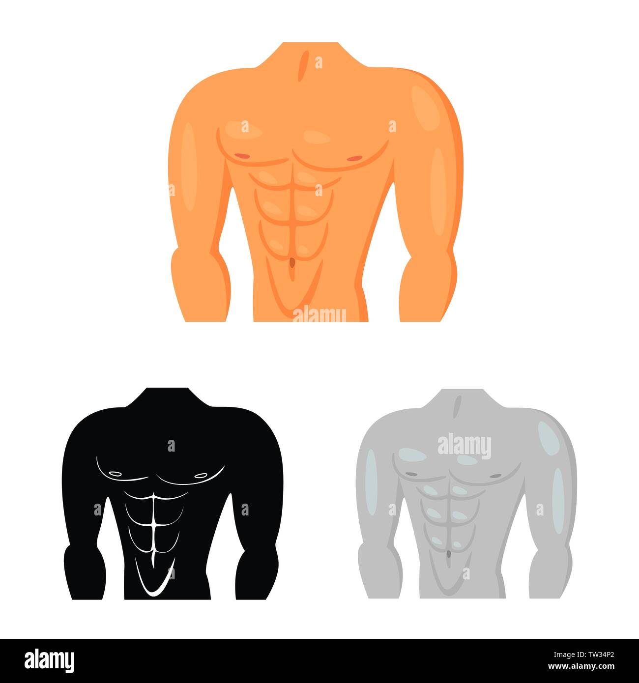 Abs muscle icon outline vector. Muscular arm. Strength fiber Stock