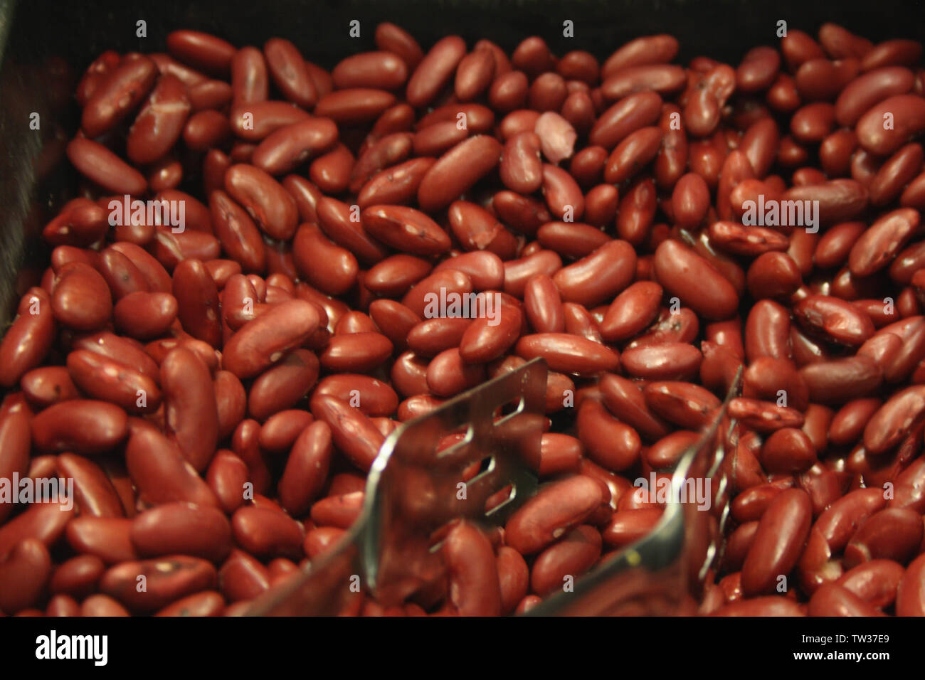 Cooked kidney beans with a tong Stock Photo Alamy