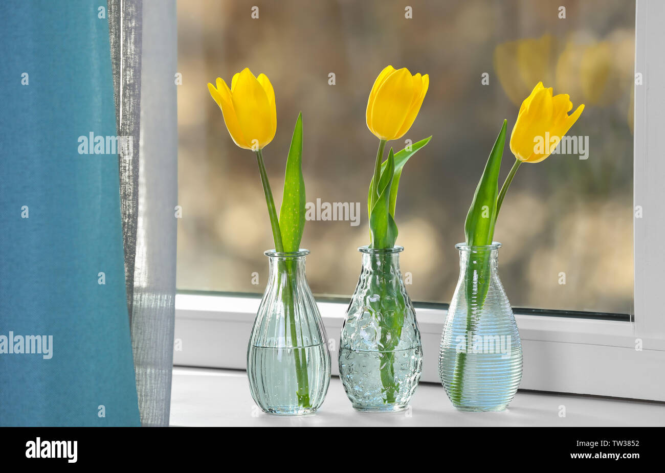 Glass Vases With Beautiful Tulips On Windowsill Stock Photo