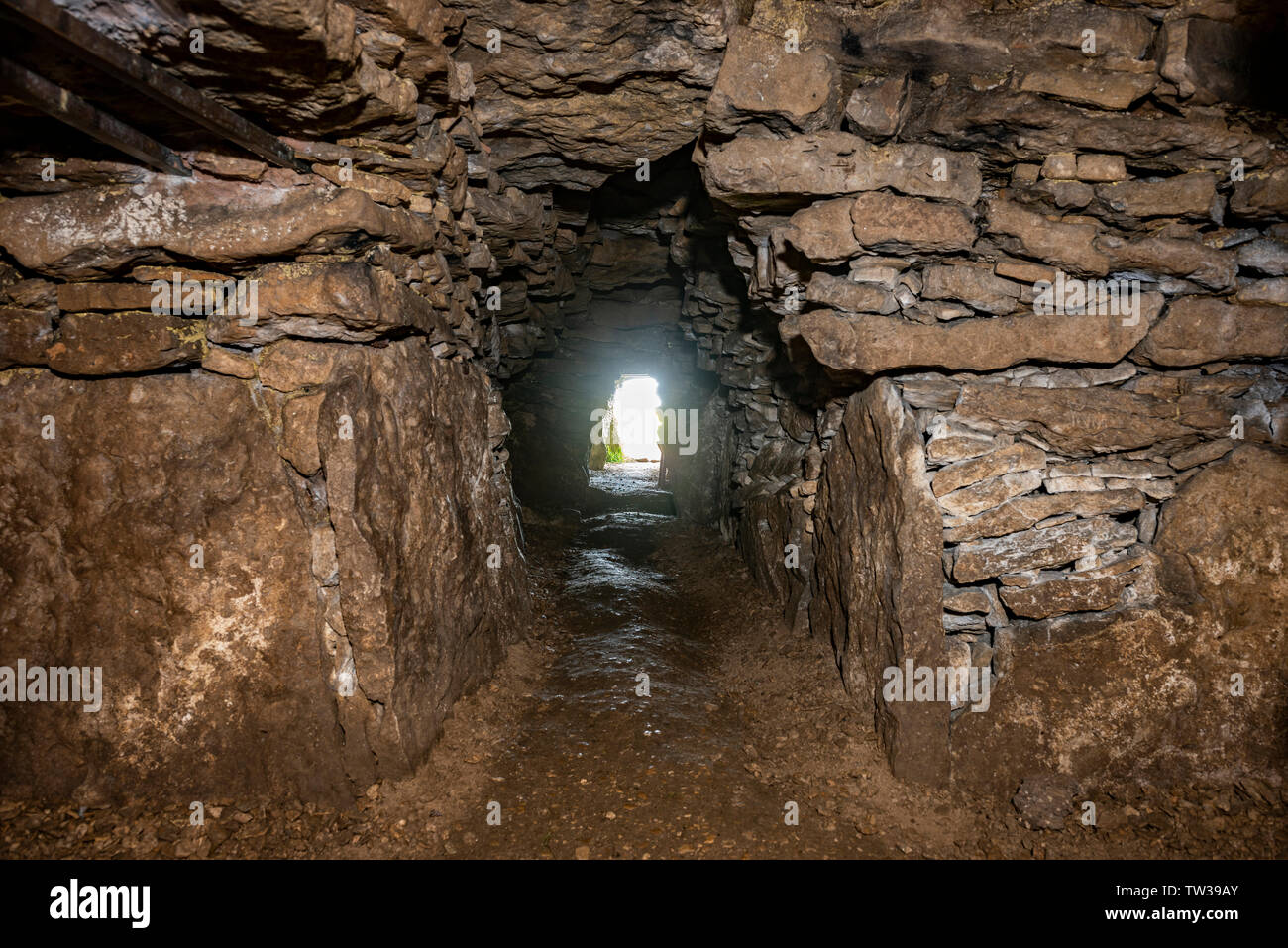 Stoney Littleton Neolithic chambered long barrow near Wellow in Somerset, UK Stock Photo