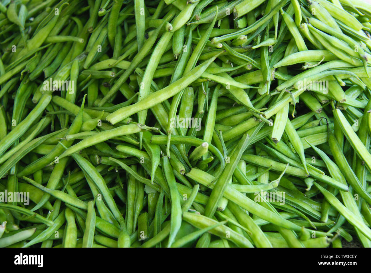 Close up of gaur beans Stock Photo