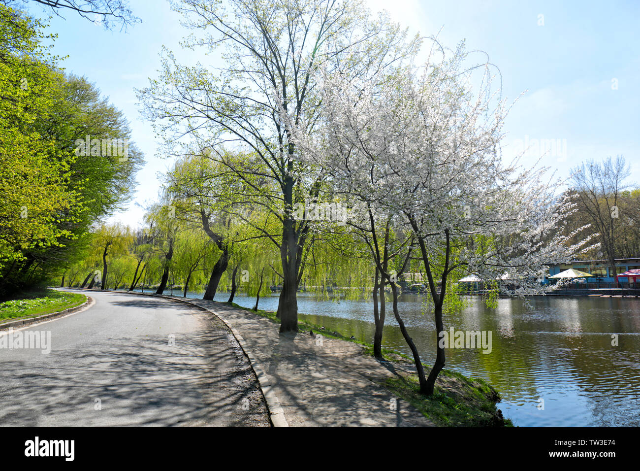 Trees on embankment hi-res stock photography and images - Alamy