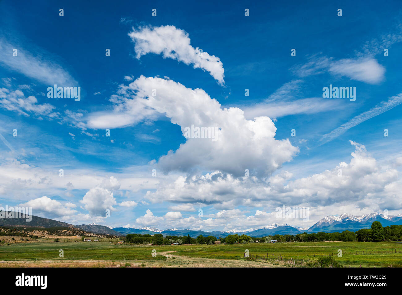 Unusual cloud formations against clear cobalt blue sky; Vandaveer Ranch; Colorado; USA Stock Photo