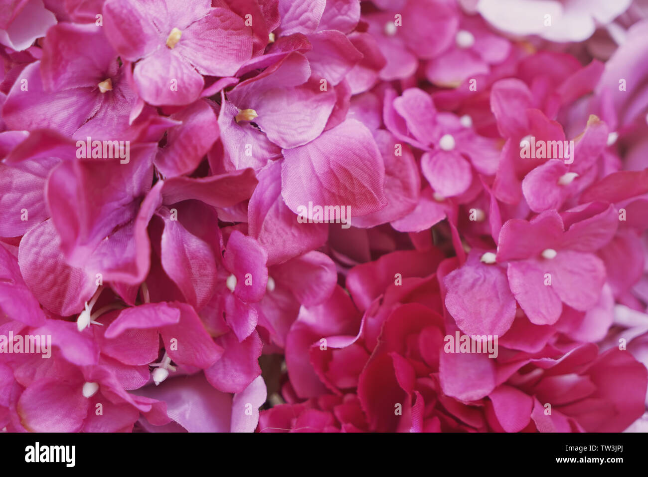 Festive bouquet artificial flowers hi-res stock photography and images ...