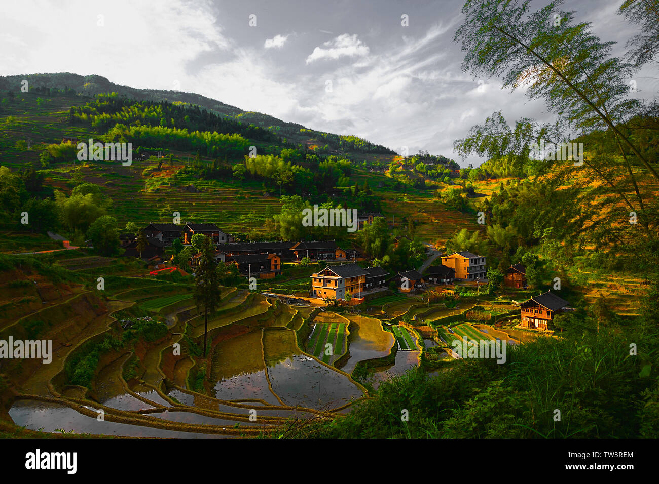 Purple Magpie terrace scenery of water truck town, Xinhua County, Hunan Province. Stock Photo
