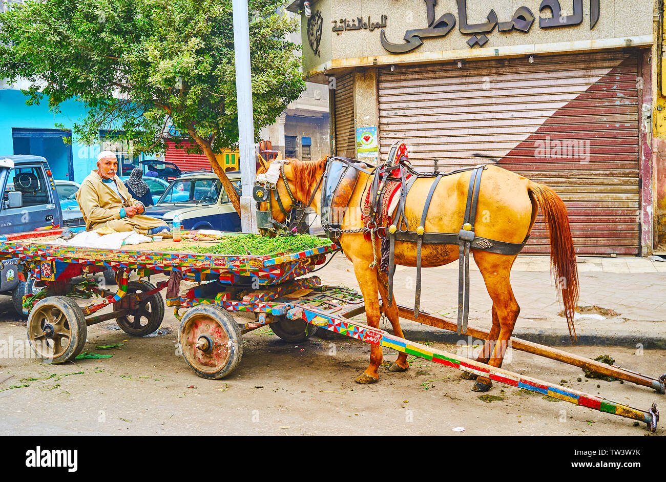 CAIRO, EGYPT DECEMBER 22, 2017 The street vegetable vendor has a