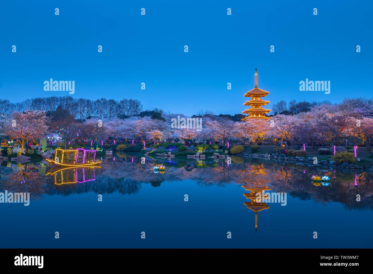 Night View of the Cherry Garden in East Lake, Wuhan, Hubei Province Stock Photo