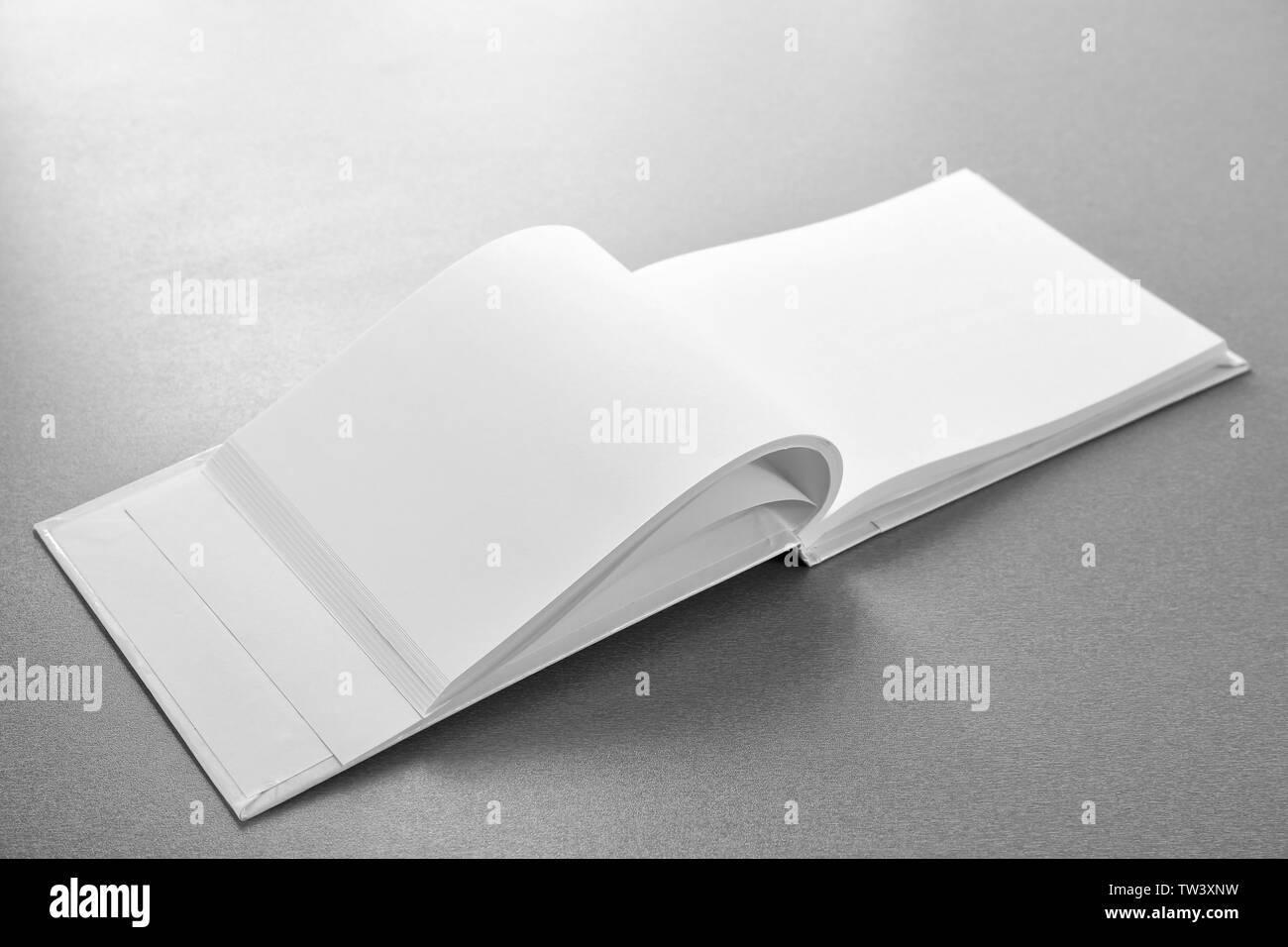 Opened book with blank pages on grey background Stock Photo Alamy