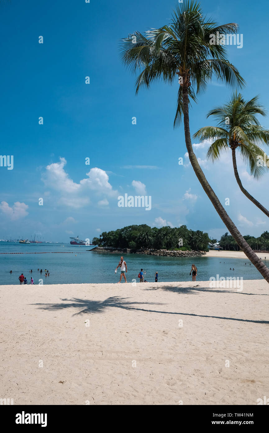 Upright framed with palm trees with copy space  of Siloso beach on Sentosa island Singapore a tropical paradise lined with palm trees and golden sand. Stock Photo