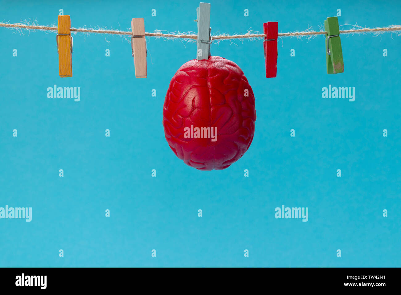 The brain of red color is dried on a clothesline, on a clothespin. Dry brain. Stock Photo