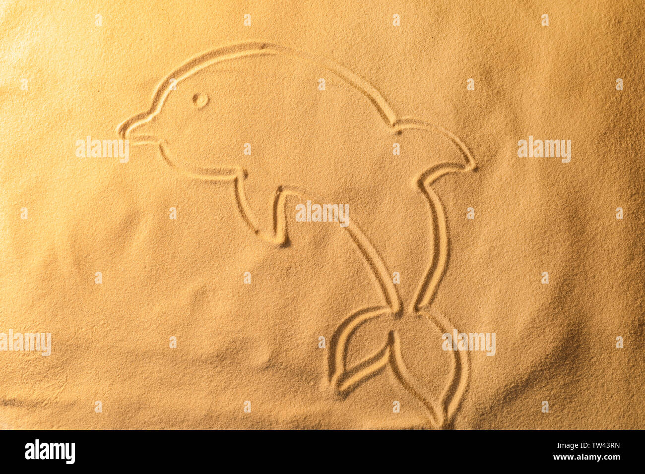 Dolphin drawn on sea sand, closeup view Stock Photo