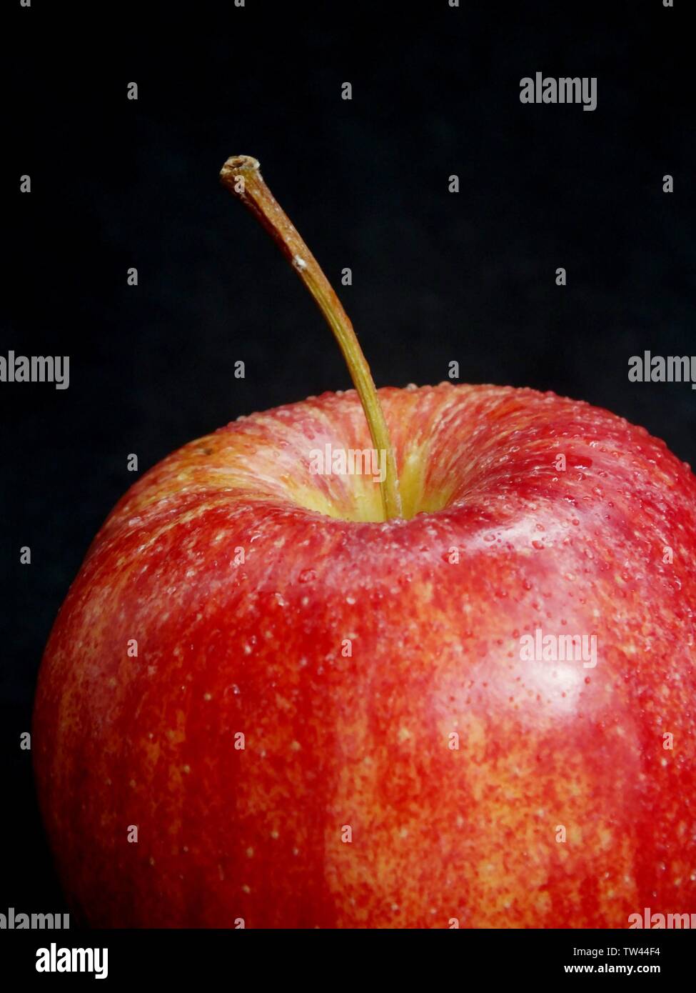 Green fruit, plant, red apple, apple, fruit, organic fruit Stock Photo