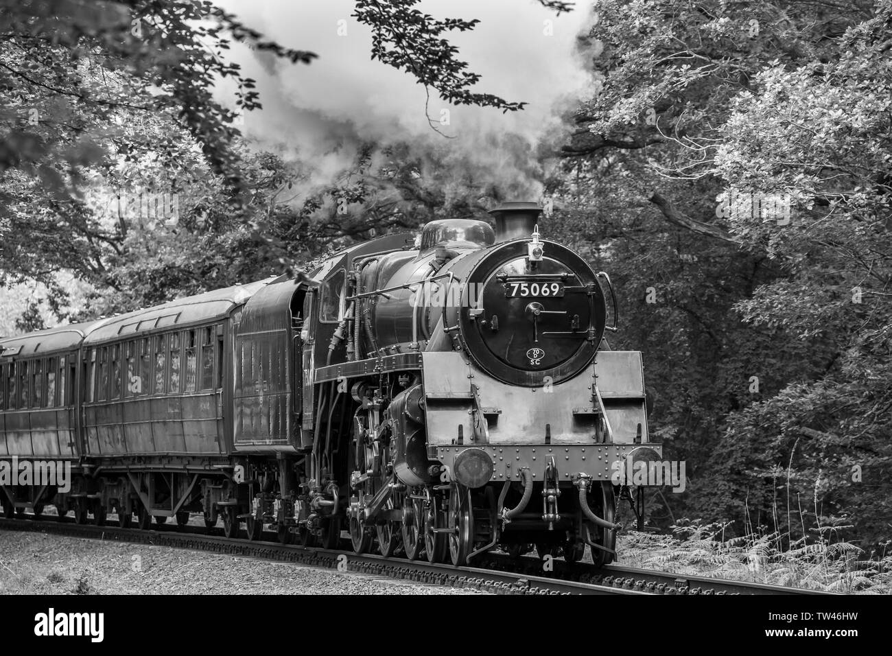 Black & white close up of vintage UK steam train front approaching, passing through rural summer countryside on heritage railway line. UK locomotives. Stock Photo