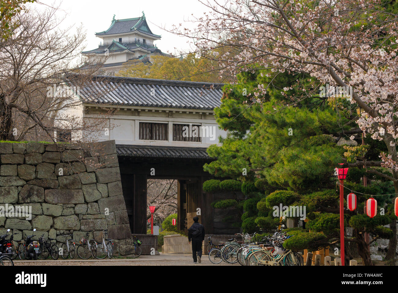 Wakayama castle gate entrance at spring, Kansai, Japan Stock Photo