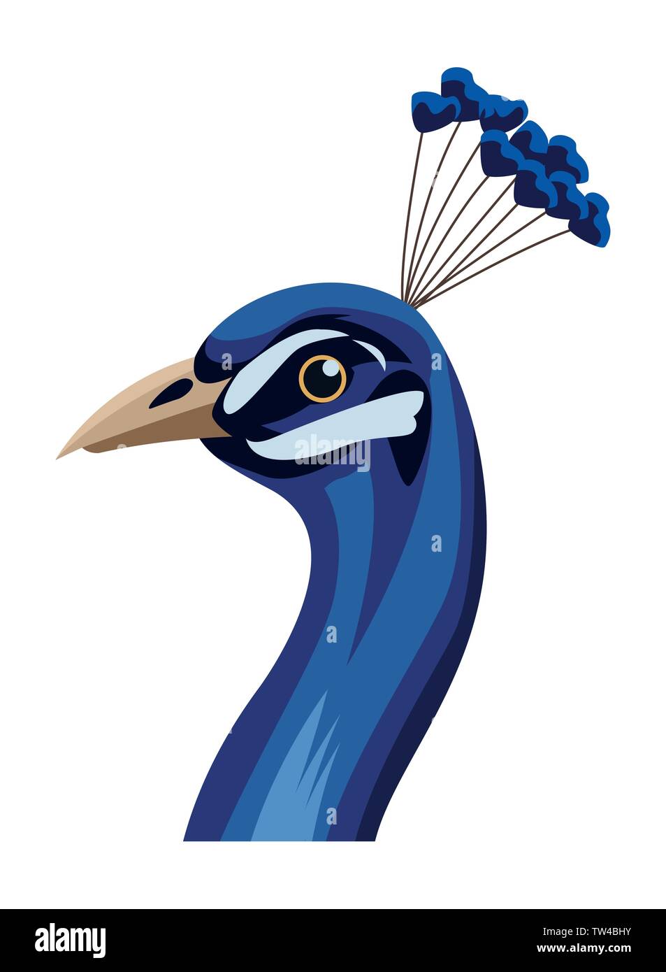 peacock bird icon cartoon isolated Stock Vector Image & Art - Alamy peacock bird icon cartoon isolated Stock Vector Image & Art - Alamy