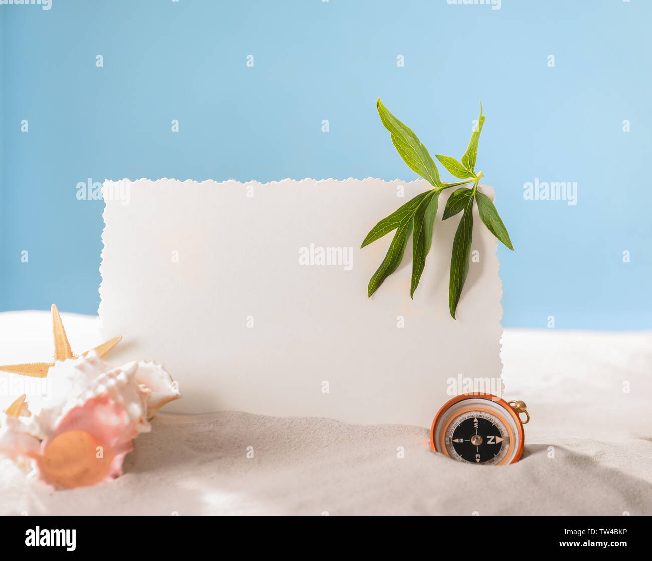 Blank card, compass and shells on sand against color background. Concept of travel and vacation Stock Photo
