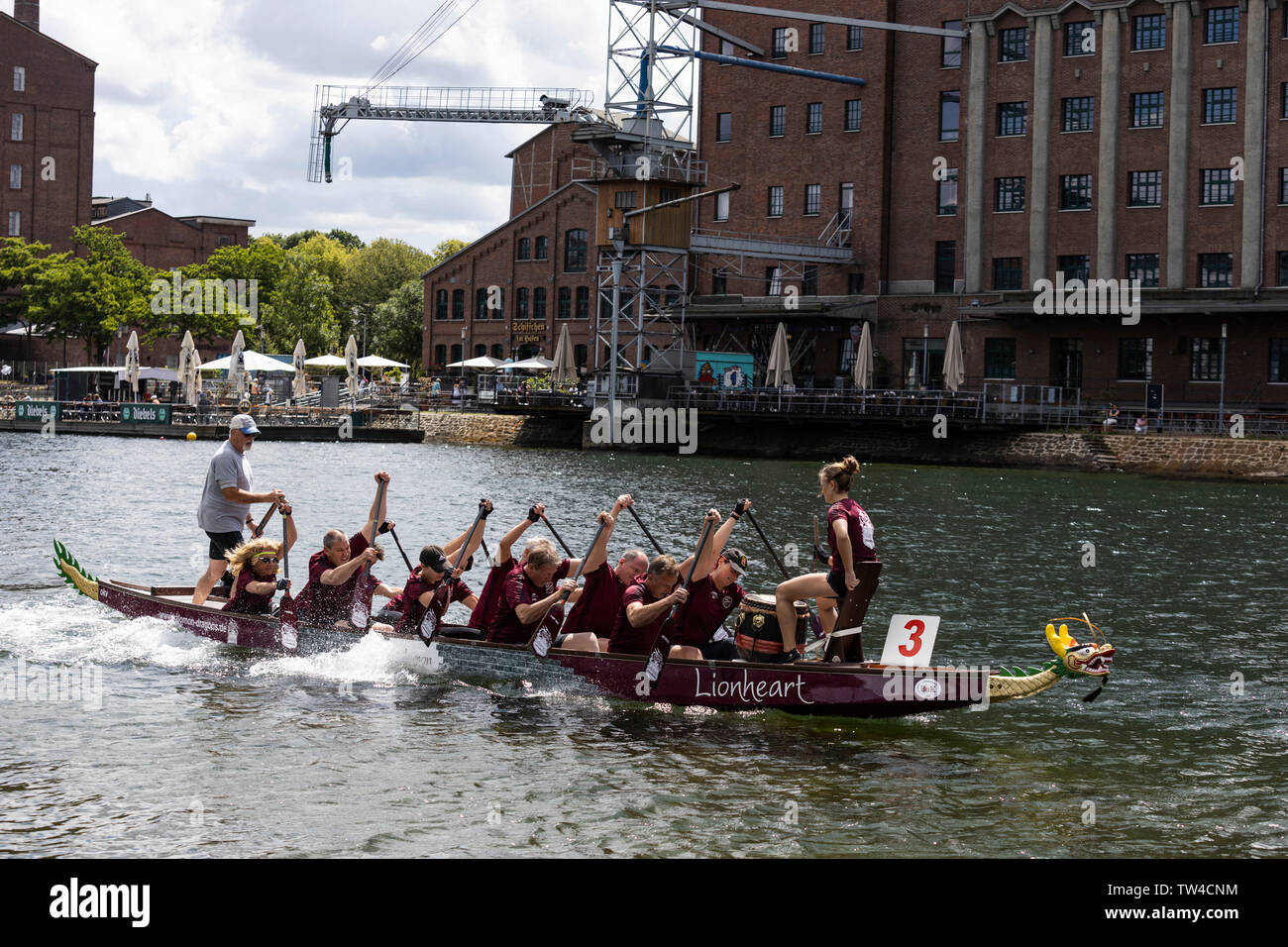 Dragon Boat regatta in Innenhafen harbour, Duisburg, Ruhr Area, Germany, Europe Stock Photo