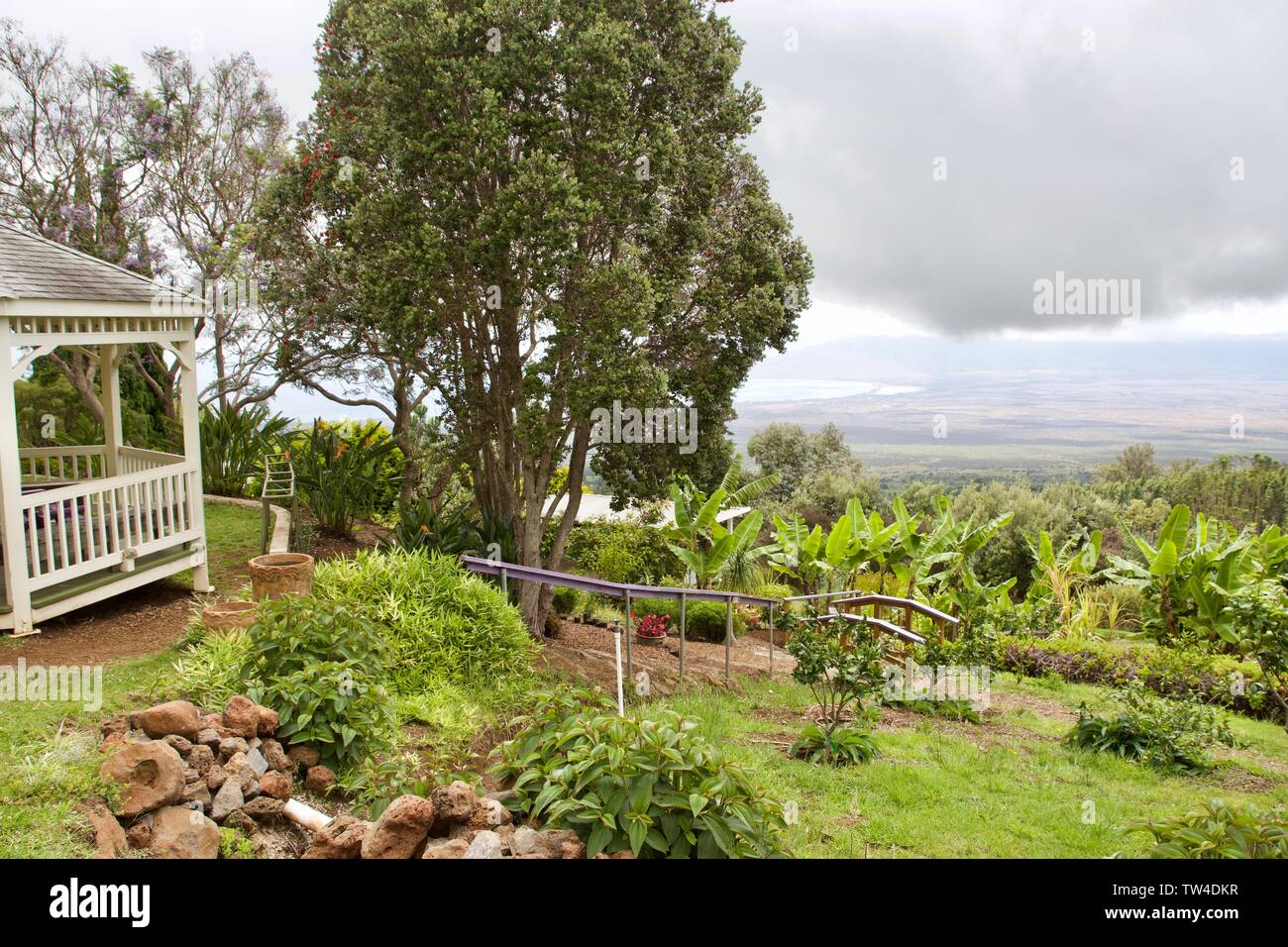 Kula Lavender farm gardens in Maui, Hawaii Stock Photo Alamy