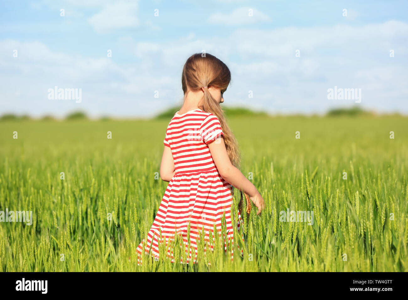 Little girl in green field Stock Photo - Alamy
