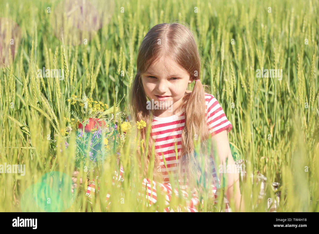 Little girl with bouquet of wildflowers in green field Stock Photo - Alamy