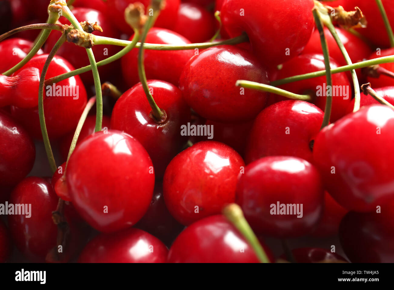 Fresh ripe cherries, closeup Stock Photo - Alamy