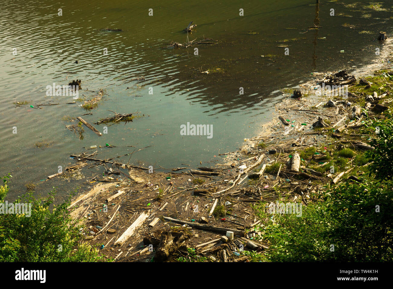 Vanære pyramide udstilling lake pollution in nature, environment problem Stock Photo - Alamy