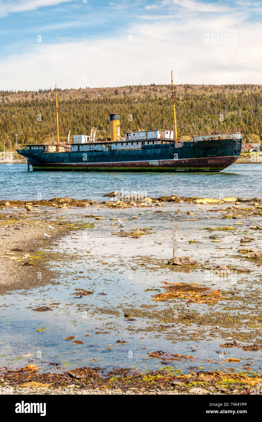 SS Kyle ran aground at Harbour Grace in 1967. She was part of the Reid Newfoundland Company’s coastal boat service known as the Alphabet Fleet. Stock Photo